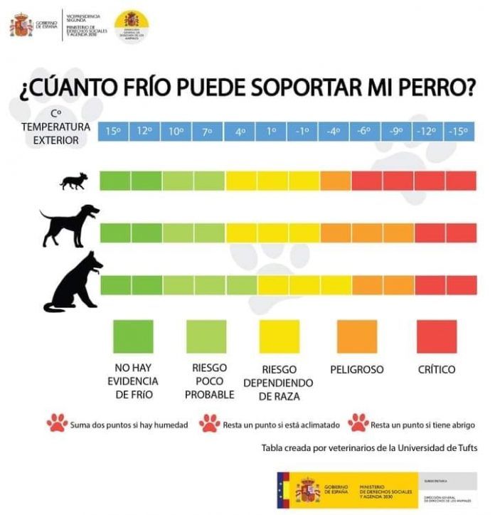 Cuanto frío puede soportar mi perro