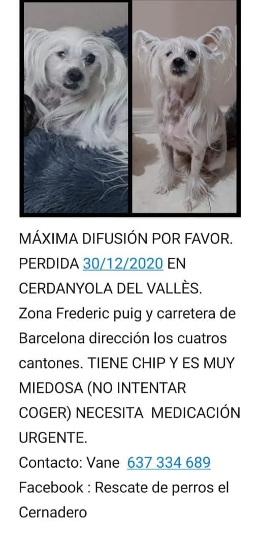 Pérdida en Cerdanyola del Vallès el día 9 de Enero.